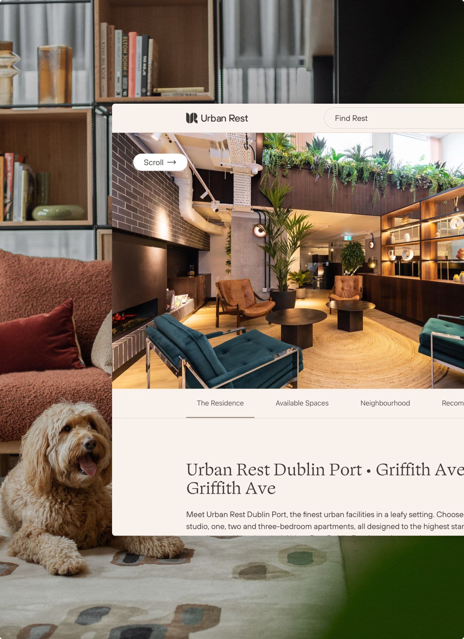 A stylish, welcoming communal lounge in an apartment building. It features plush seating in teal and tan, a round woven rug, indoor greenery, and wooden shelving with books and decor. A friendly dog sits on the rug, adding an inviting feel to the space.